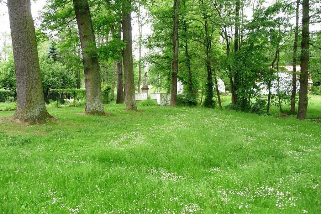 Holiday home U Kolcavy Volenice (Pribram)